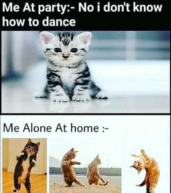 funny mrx memes - Me At party No i don't know how to dance Me Alone At home