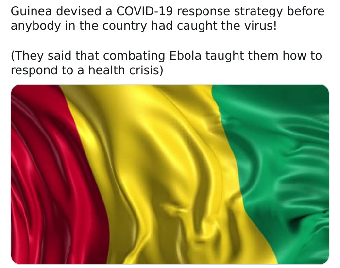 graphic design - Guinea devised a Covid19 response strategy before anybody in the country had caught the virus! They said that combating Ebola taught them how to respond to a health crisis