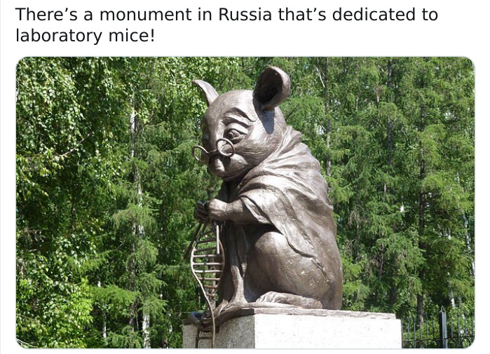 russian lab mouse statue - There's a monument in Russia that's dedicated to laboratory mice!