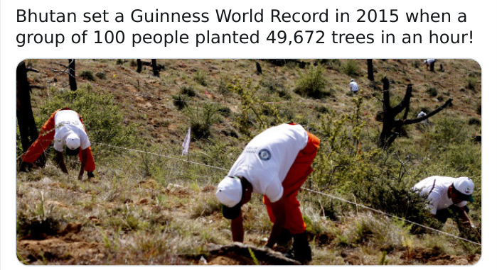 soil - Bhutan set a Guinness World Record in 2015 when a group of 100 people planted 49,672 trees in an hour!