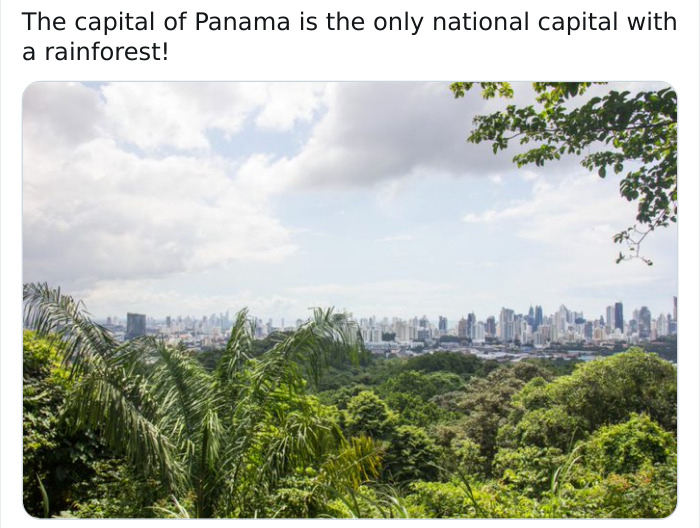 vegetation - The capital of Panama is the only national capital with a rainforest!