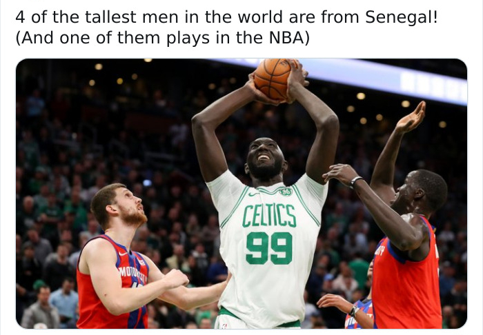 boston celtics jersey - 4 of the tallest men in the world are from Senegal! And one of them plays in the Nba Celtics 99 My