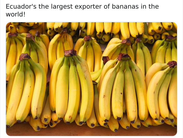 Ecuador's the largest exporter of bananas in the world!