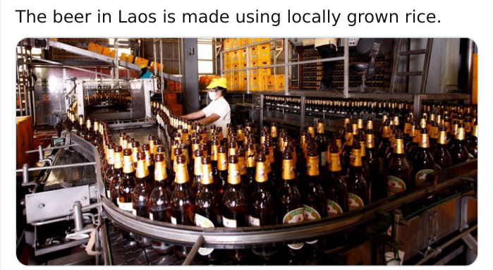alcoholic beverage - The beer in Laos is made using locally grown rice.