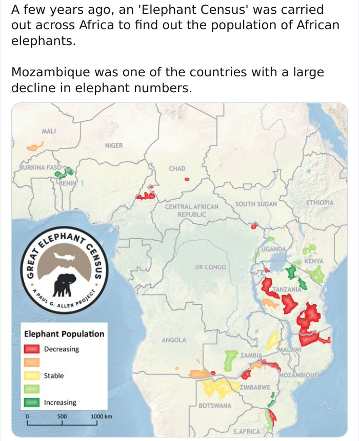 Great Elephant Census - A few years ago, an 'Elephant Census' was carried out across Africa to find out the population of African elephants. Mozambique was one of the countries with a large decline in elephant numbers. Mal Camaras Chad South Sudan Ethiop 