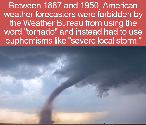 they decide to close facebook - Between 1887 and 1950, American weather forecasters were forbidden by the Weather Bureau from using the word "tornado" and instead had to use euphemisms "severe local storm."