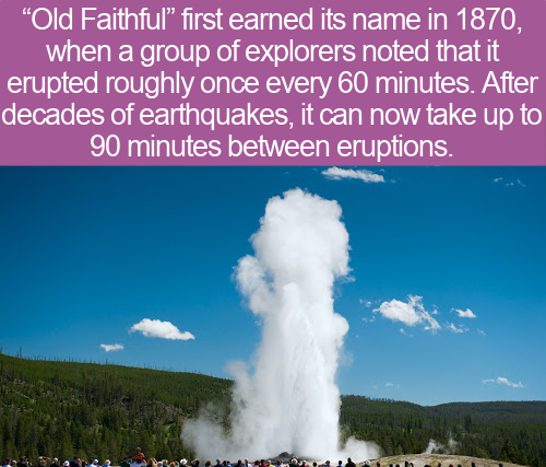 hacer group - "Old Faithful first earned its name in 1870, when a group of explorers noted that it erupted roughly once every 60 minutes. After decades of earthquakes, it can now take up to 90 minutes between eruptions.