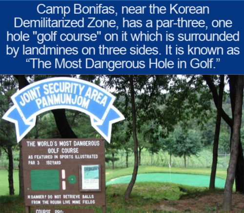 world's most dangerous golf course - Joint Segunin Area Camp Bonifas, near the Korean Demilitarized Zone, has a parthree, one hole "golf course" on it which is surrounded by landmines on three sides. It is known as "The Most Dangerous Hole in Golf. The Wo