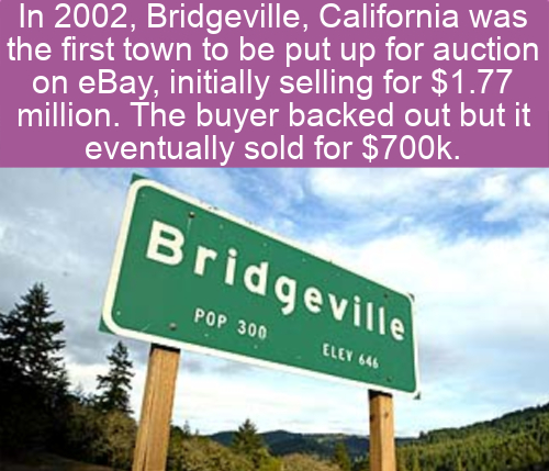sky - In 2002, Bridgeville, California was the first town to be put up for auction on eBay, initially selling for $1.77 million. The buyer backed out but it eventually sold for $. Bridgeville Pop 300 Eley 646