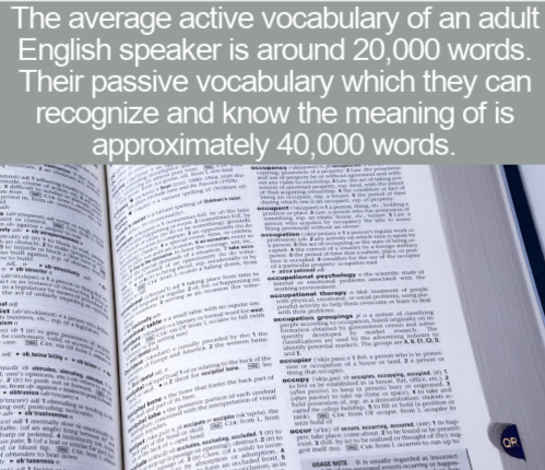 document - The average active vocabulary of an adult English speaker is around 20,000 words. Their passive vocabulary which they can recognize and know the meaning of is approximately 40,000 words. mah inal ha bon th pierw . Ogne u une Degut Www Qr http A