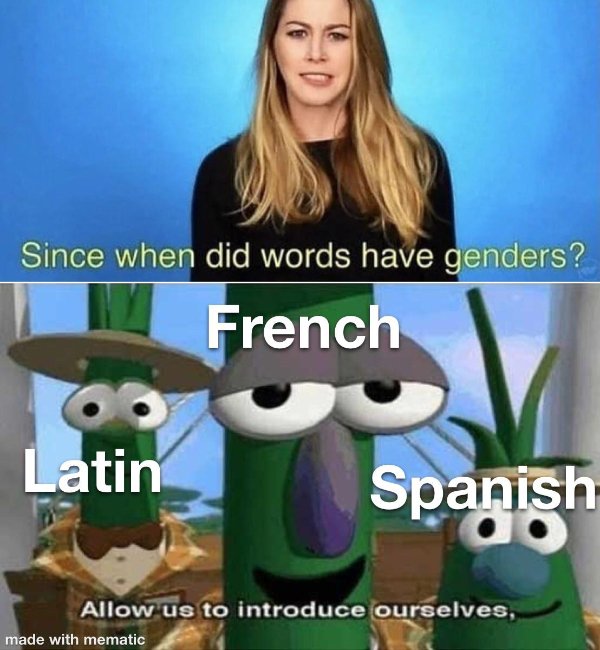 funny memes - Since when did words have genders? French Latin Spanish Allow us to introduce ourselves,