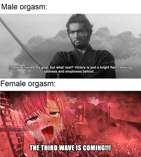 funny memes - Male orgasm I have achieved my goal, but what next? Victory is just a bright flash, leaving sadness and emptiness behind... Female orgasm The Third Wave Is Coming!!!