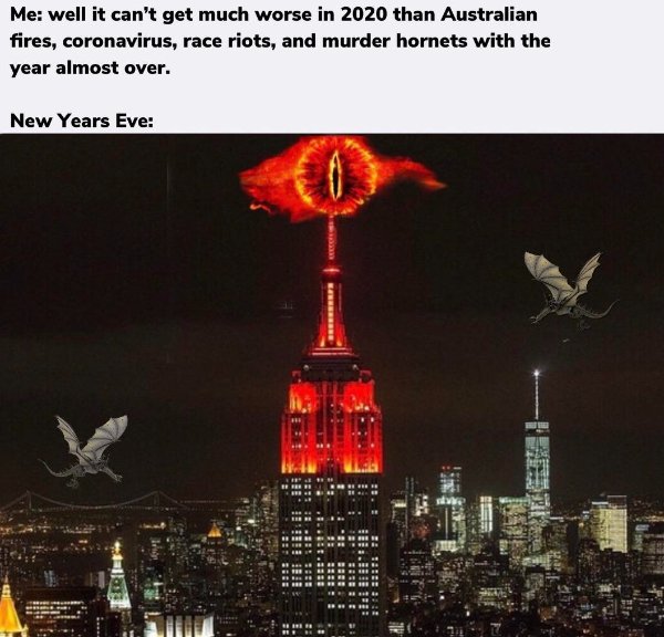 funny memes - Me well it can't get much worse in 2020 than Australian fires, coronavirus, race riots, and murder hornets with the year almost over. New Years Eve