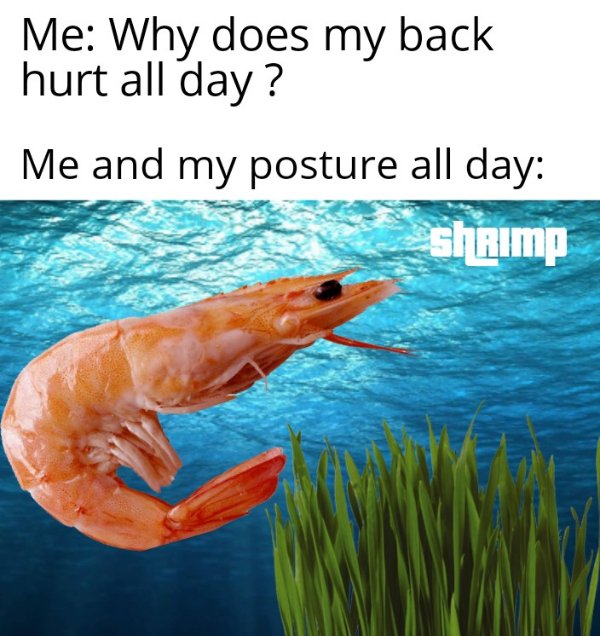 funny memes - Me Why does my back hurt all day? Me and my posture all day shrimp