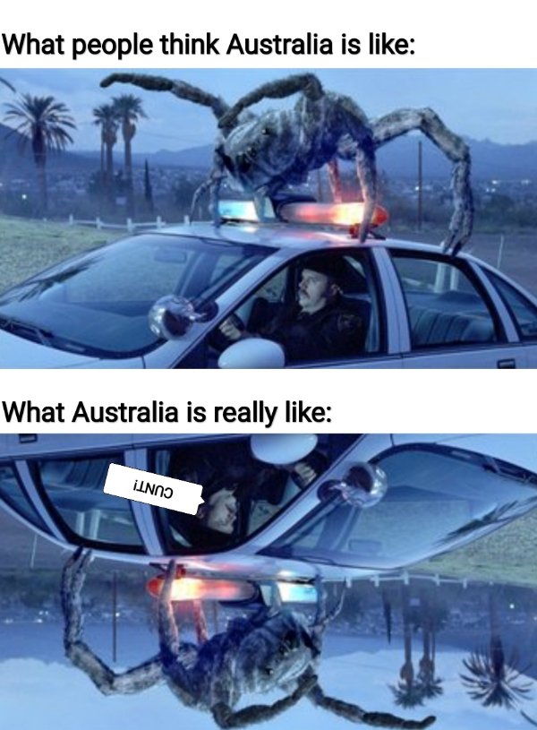 funny memes - giant spiders - What people think Australia is What Australia is really Inno