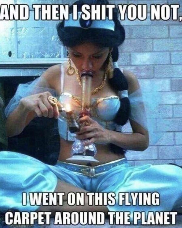 weed memes 2019 - And Then I Shit You Not, I Went On This Flying Carpet Around The Planet