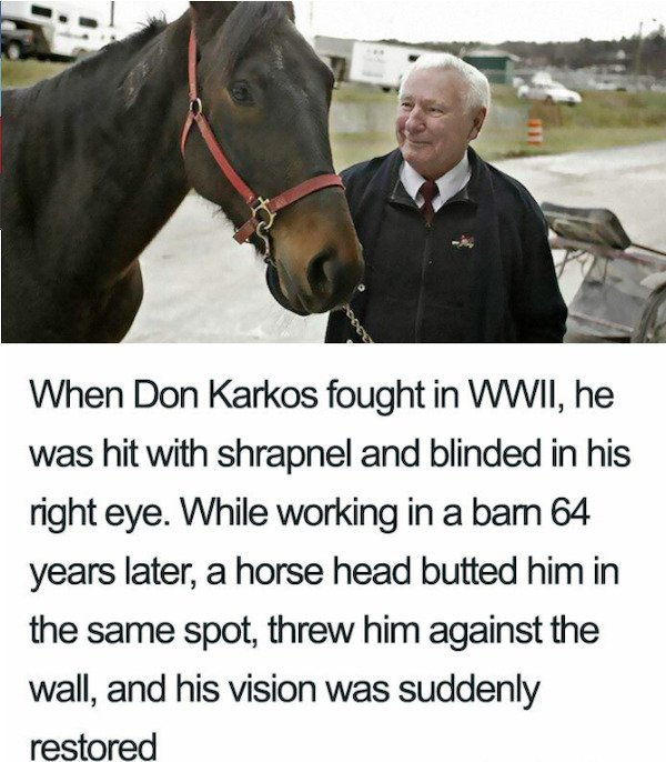 don karkos - When Don Karkos fought in Wwii , he was hit with shrapnel and blinded in his right eye. While working in a barn 64 years later, a horse head butted him in the same spot, threw him against the wall, and his vision was suddenly restored