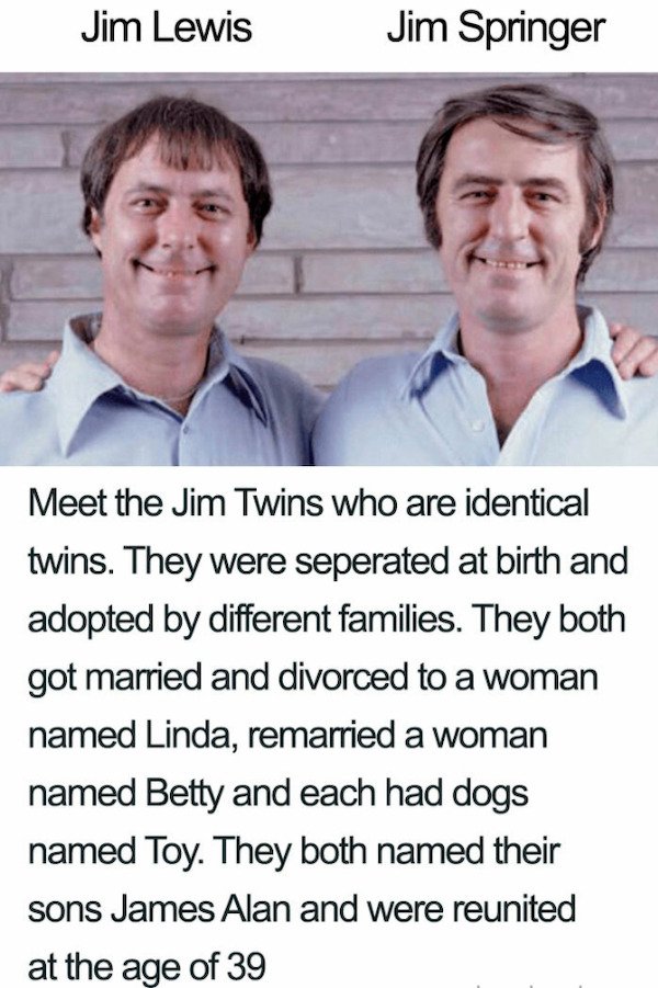 jim twins - Jim Lewis Jim Springer Meet the Jim Twins who are identical twins. They were seperated at birth and adopted by different families. They both got married and divorced to a woman named Linda, remarried a woman named Betty and each had dogs named