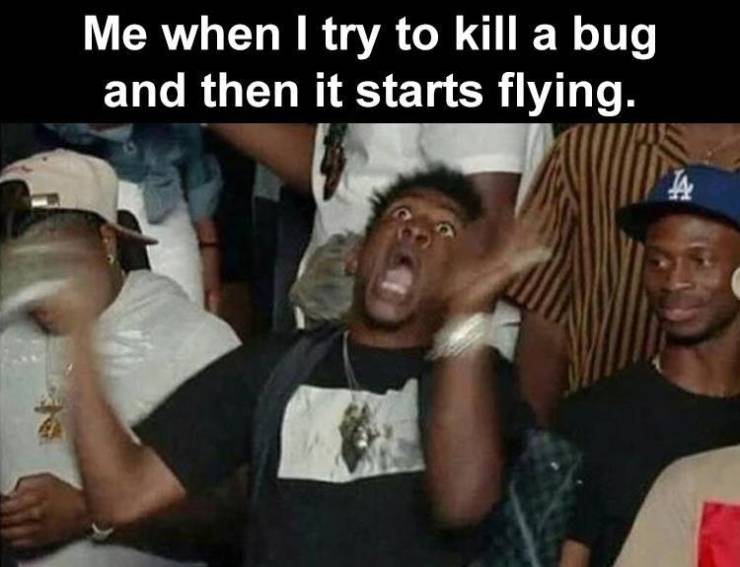 you try to kill a bug - Me when I try to kill a bug and then it starts flying. A
