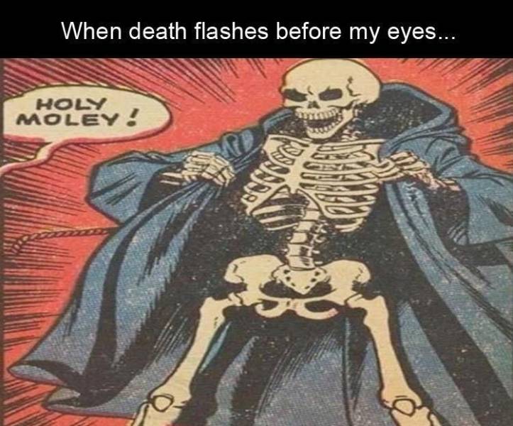 death flashing meme - When death flashes before my eyes... Holy Moley! 1000 Wans