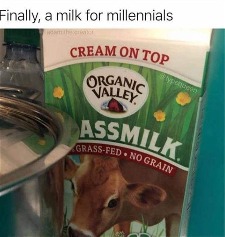 snout - Assmilk GrassFed No Grain Finally, a milk for millennials adam the creator Cream On Top Organic Valley