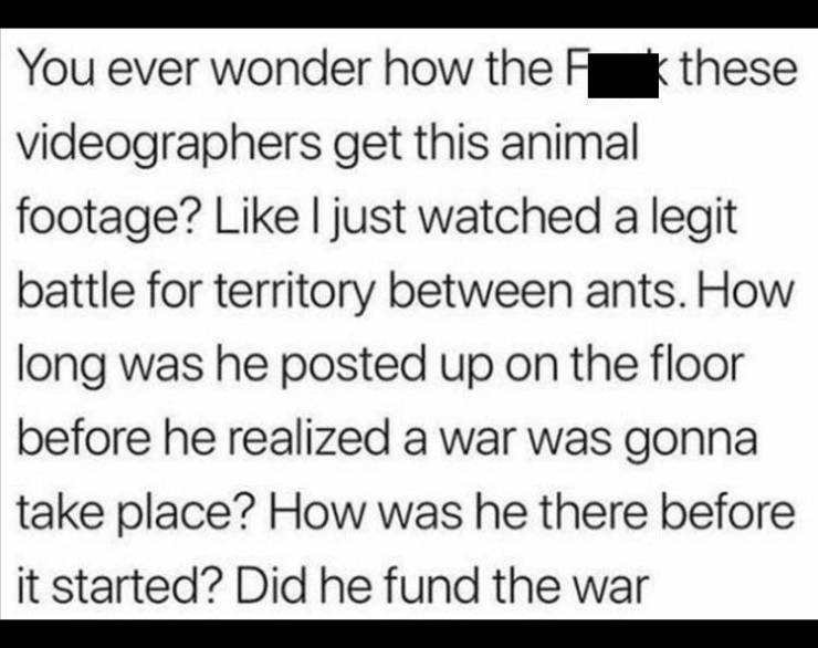 preventive medicine - You ever wonder how the these videographers get this animal footage? I just watched a legit battle for territory between ants. How long was he posted up on the floor before he realized a war was gonna take place? How was he there bef