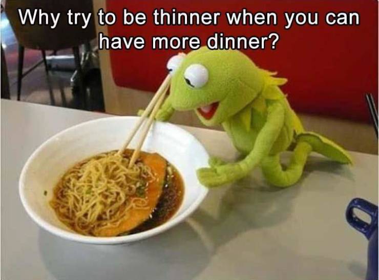 kermit the frog food meme - Why try to be thinner when you can have more dinner?