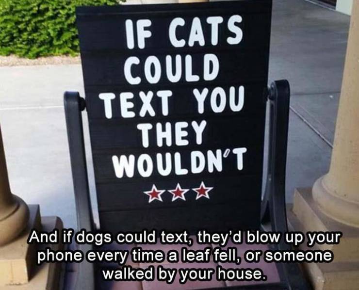 if cats could text - If Cats Could Text You They Wouldn'T And if dogs could text, they'd blow up your phone every time a leaf fell, or someone walked by your house