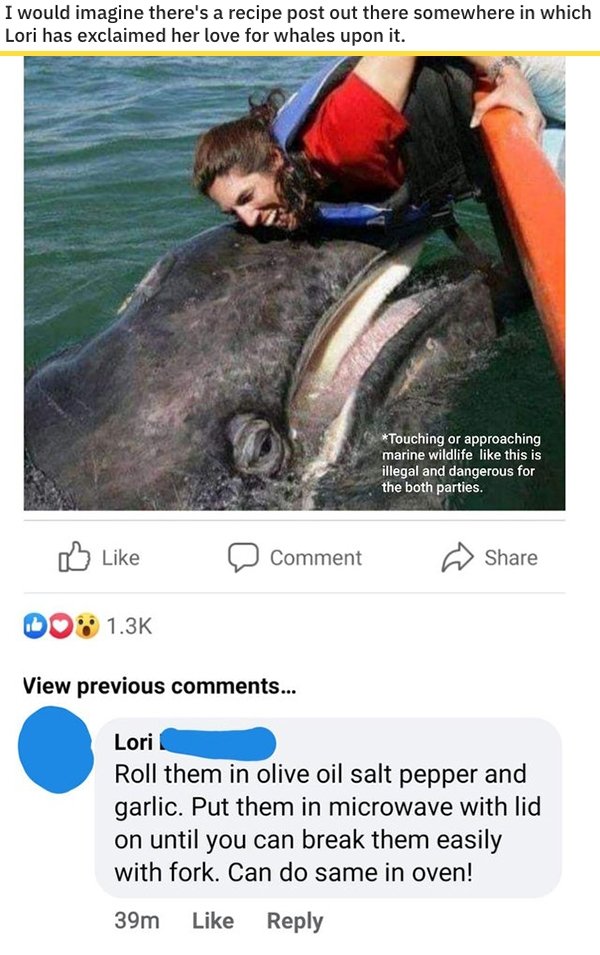 whales dolphins and porpoises - I would imagine there's a recipe post out there somewhere in which Lori has exclaimed her love for whales upon it. Touching or approaching marine wildlife this is illegal and dangerous for the both parties. Comment View pre