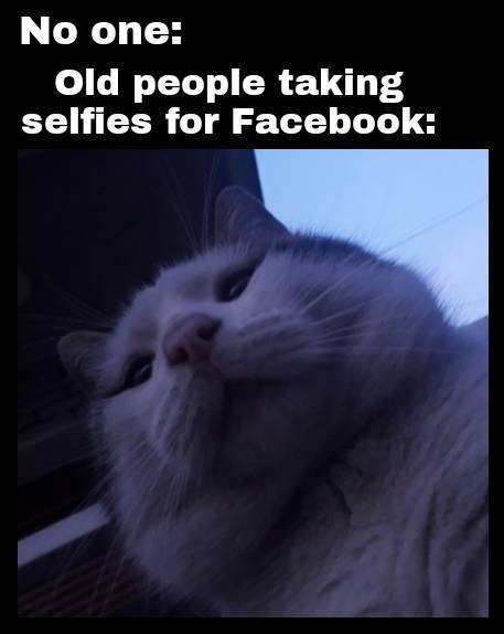 photo caption - No one Old people taking selfies for Facebook