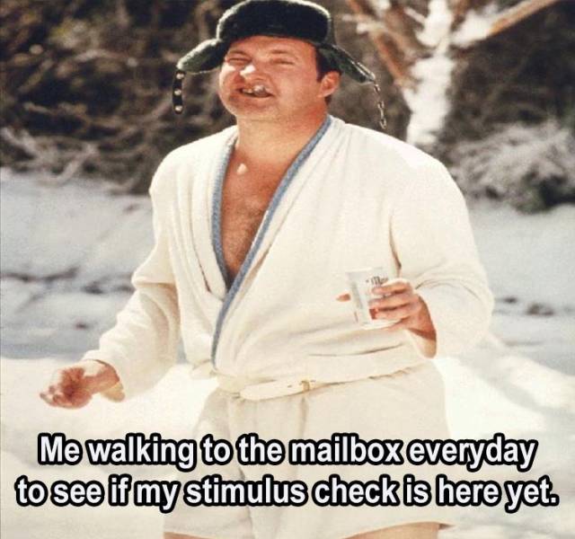 cousin eddie christmas vacation - Me walking to the mailbox everyday to see if my stimulus check is here yet.