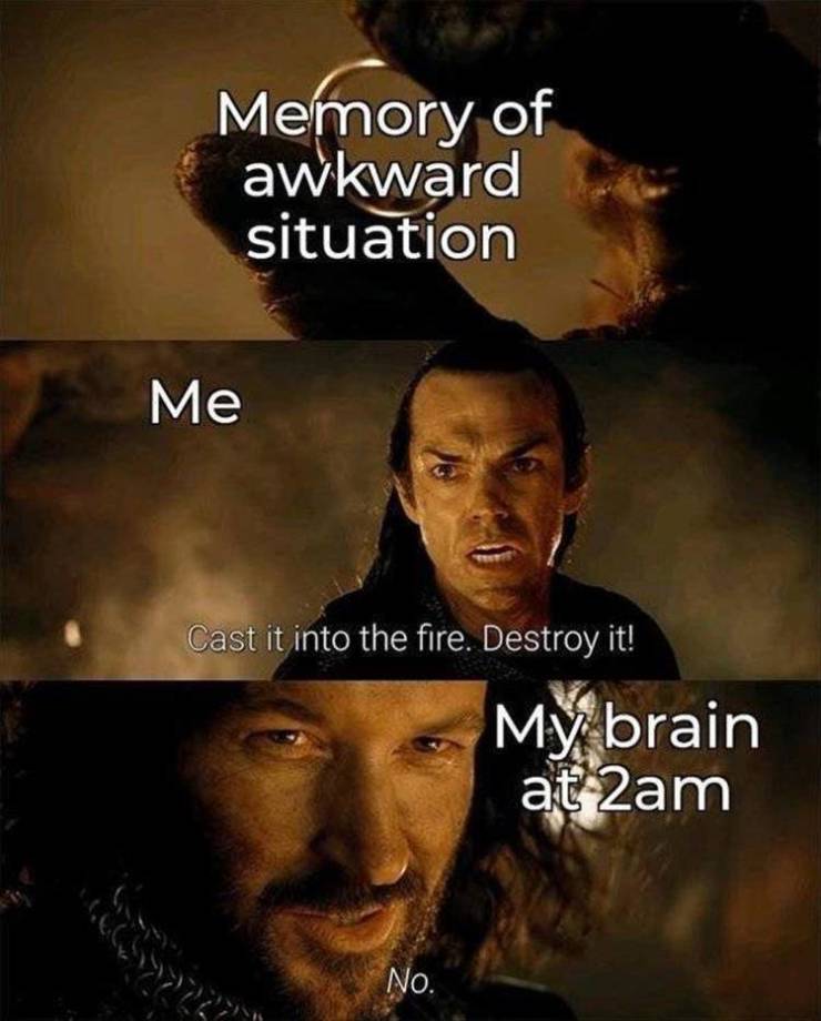 lord of the rings memes - Memory of awkward situation Me Cast it into the fire. Destroy it! My brain at 2am No.