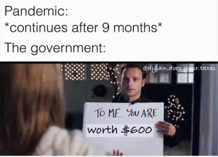 presentation - Pandemic continues after 9 months The government .does.your.taxes To Me, You Are worth $600