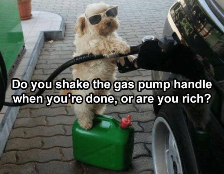 me hyping up my friends - Do you shake the gas pump handle when you're done, or are you rich?