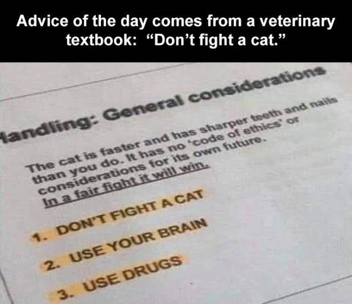 may the bridges i burn - Advice of the day comes from a veterinary textbook Don't fight a cat." Handling General considerations The cat is faster and has sharper teeth and nails than you do. It has no 'code of ethics or considerations for its own future. 