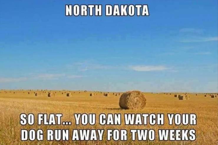 fargo north dakota meme - North Dakota So Flat... You Can Watch Your Dog Run Away For Two Weeks