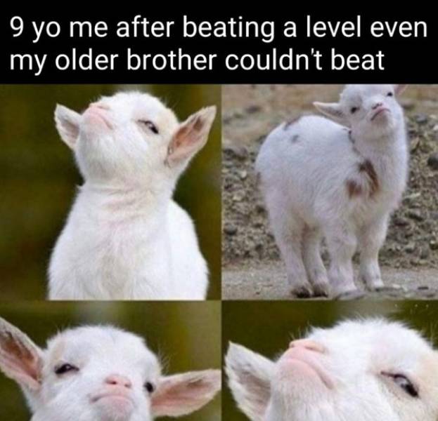 no one believed you but it turns out you were right - 9 yo me after beating a level even my older brother couldn't beat