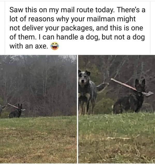 Mail carrier - Saw this on my mail route today. There's a lot of reasons why your mailman might not deliver your packages, and this is one of them. I can handle a dog, but not a dog with an axe.