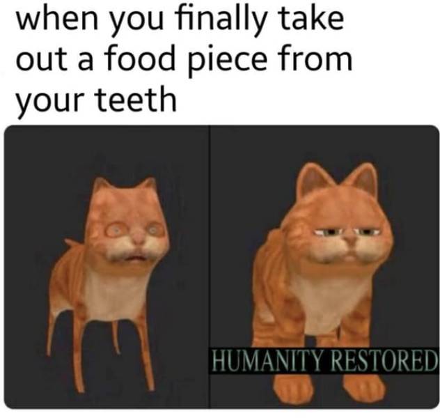 water at night meme - when you finally take out a food piece from your teeth huma Humanity Restored