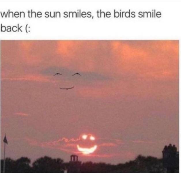 smiling sunset - when the sun smiles, the birds smile back