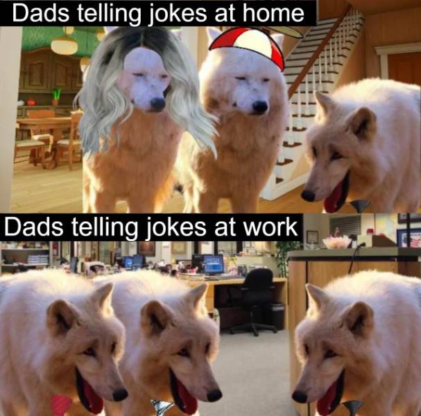 wolves laughing - Dads telling jokes at home Dads telling jokes at work