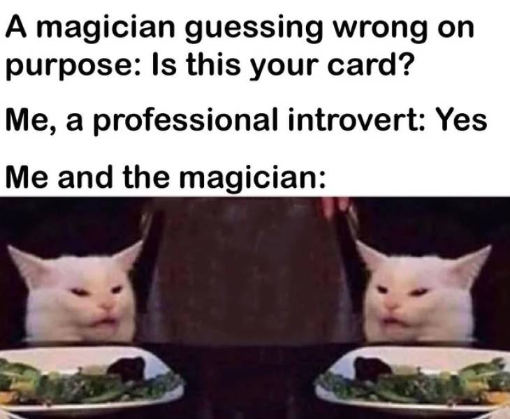 introvert meme - A magician guessing wrong on purpose Is this your card? Me, a professional introvert Yes Me and the magician