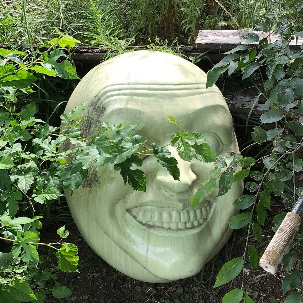 wtf images - flowerpot shaped like creepy smiling face