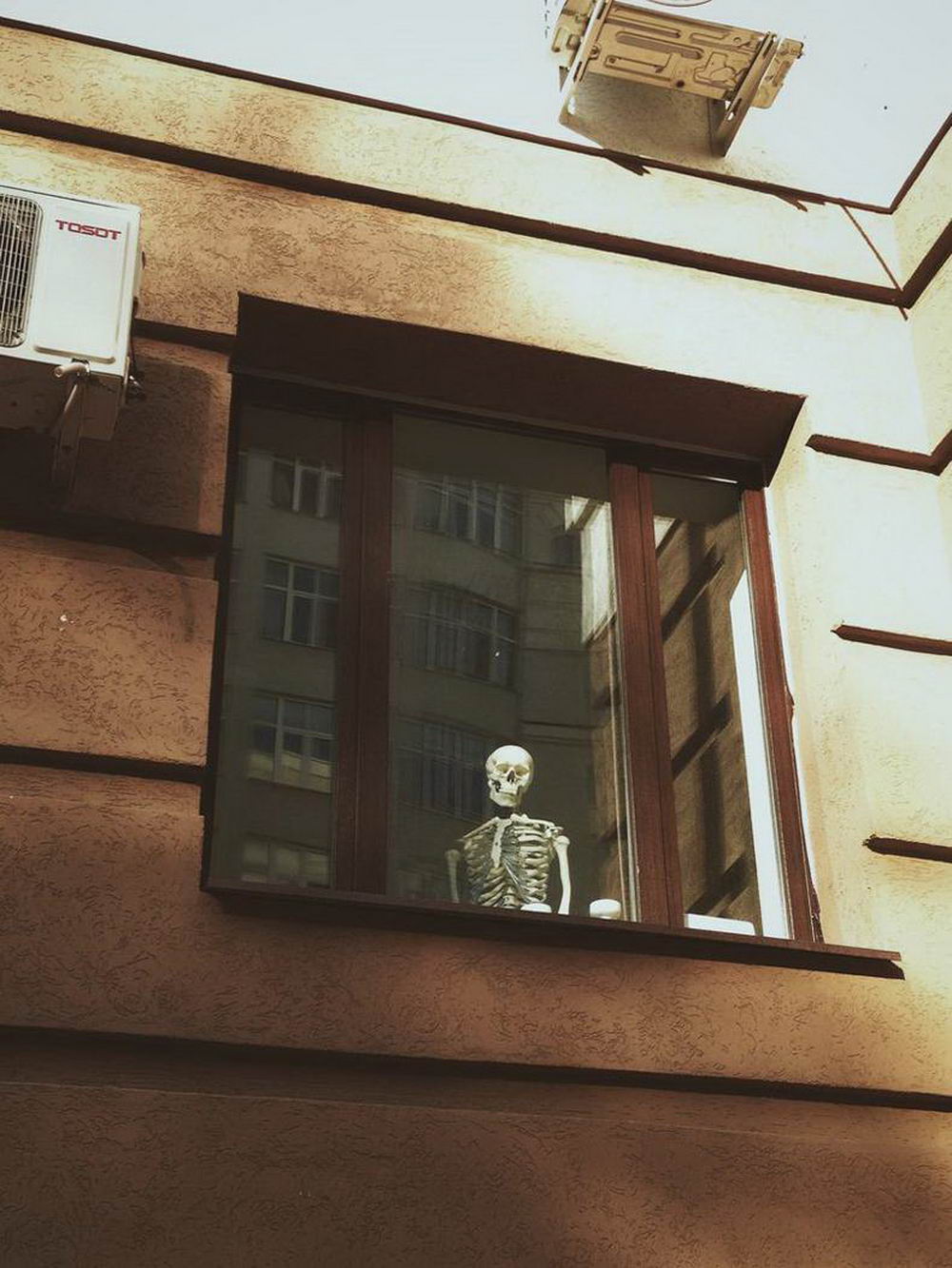 wtf images - skeleton chilling inside a window