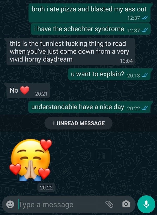 funny text messages - bruh i ate pizza and blasted my ass out v i have the schechter syndrome Vi Gnome this is the funniest fucking thing to read when you've just come down from a very vivid horny daydream u want to explain? V! No  understandable have a n