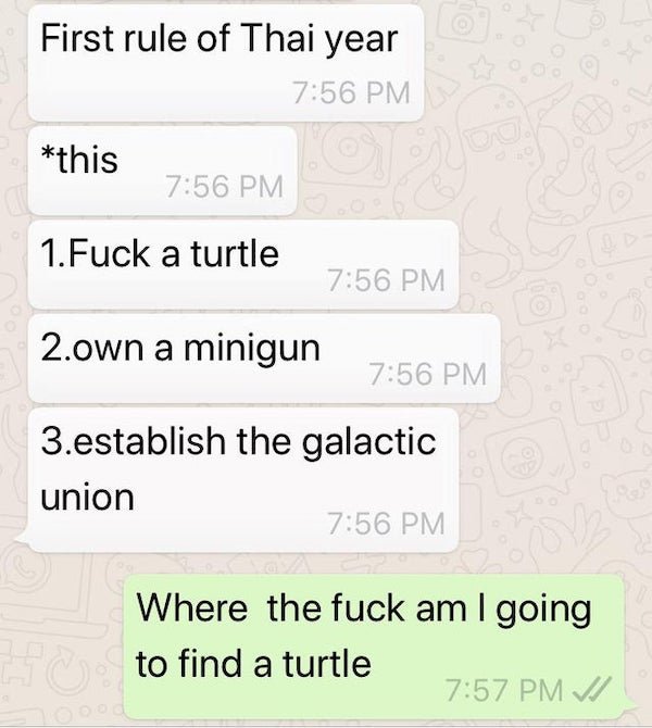 funny text messages - First rule of Thai year this 1.Fuck a turtle 2.own a minigun 3.establish the galactic union Where the fuck am I going to find a turtle