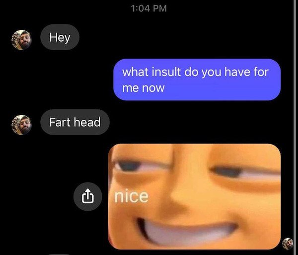 funny text messages - Hey what insult do you have for me now Fart head nice