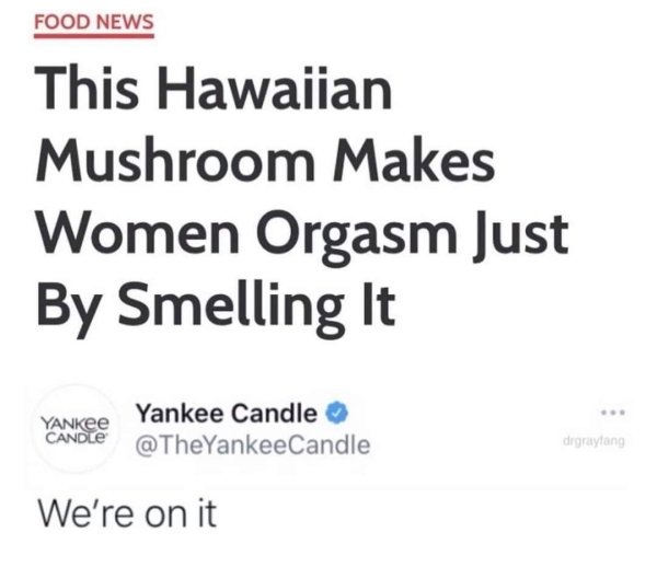 funny memes - Yankee Candle - Food News This Hawaiian Mushroom Makes Women Orgasm Just By Smelling It - Yankee Candle We're on it