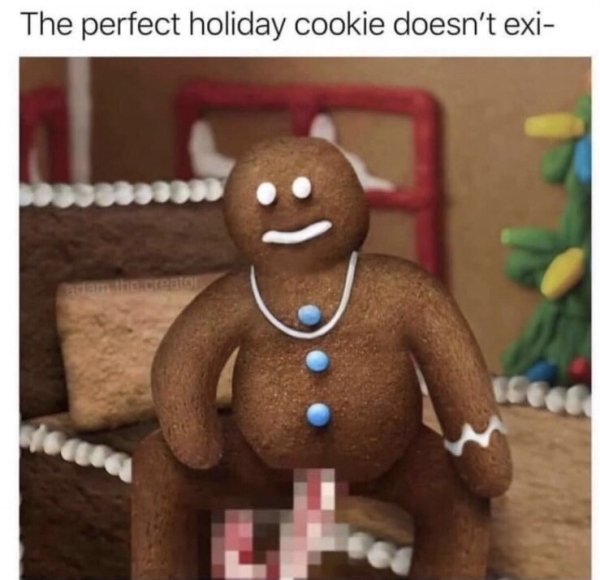 funny memes - gingerbread wood sitting on the bed meme - The perfect holiday cookie doesn't exi