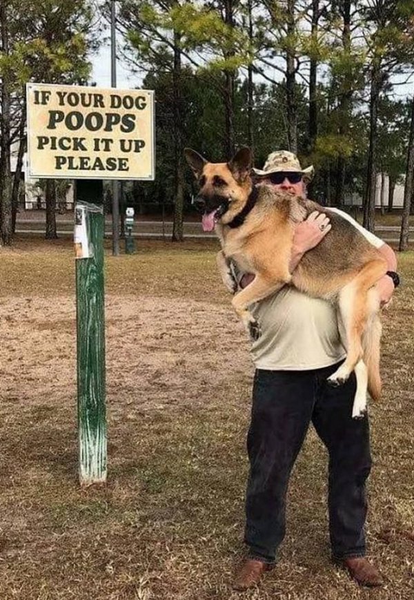 funny memes - If Your Dog Poops Pick It Up Please